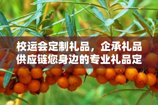 校运会定制礼品，企承礼品供应链您身边的专业礼品定制公司